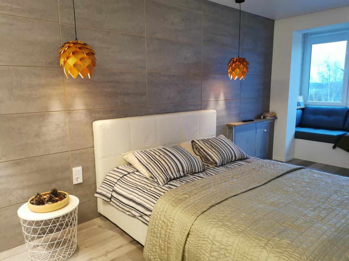 Buto Nuoma Dariaus Ir Gireno Gatveje Appartement Telšiai Buitenkant foto